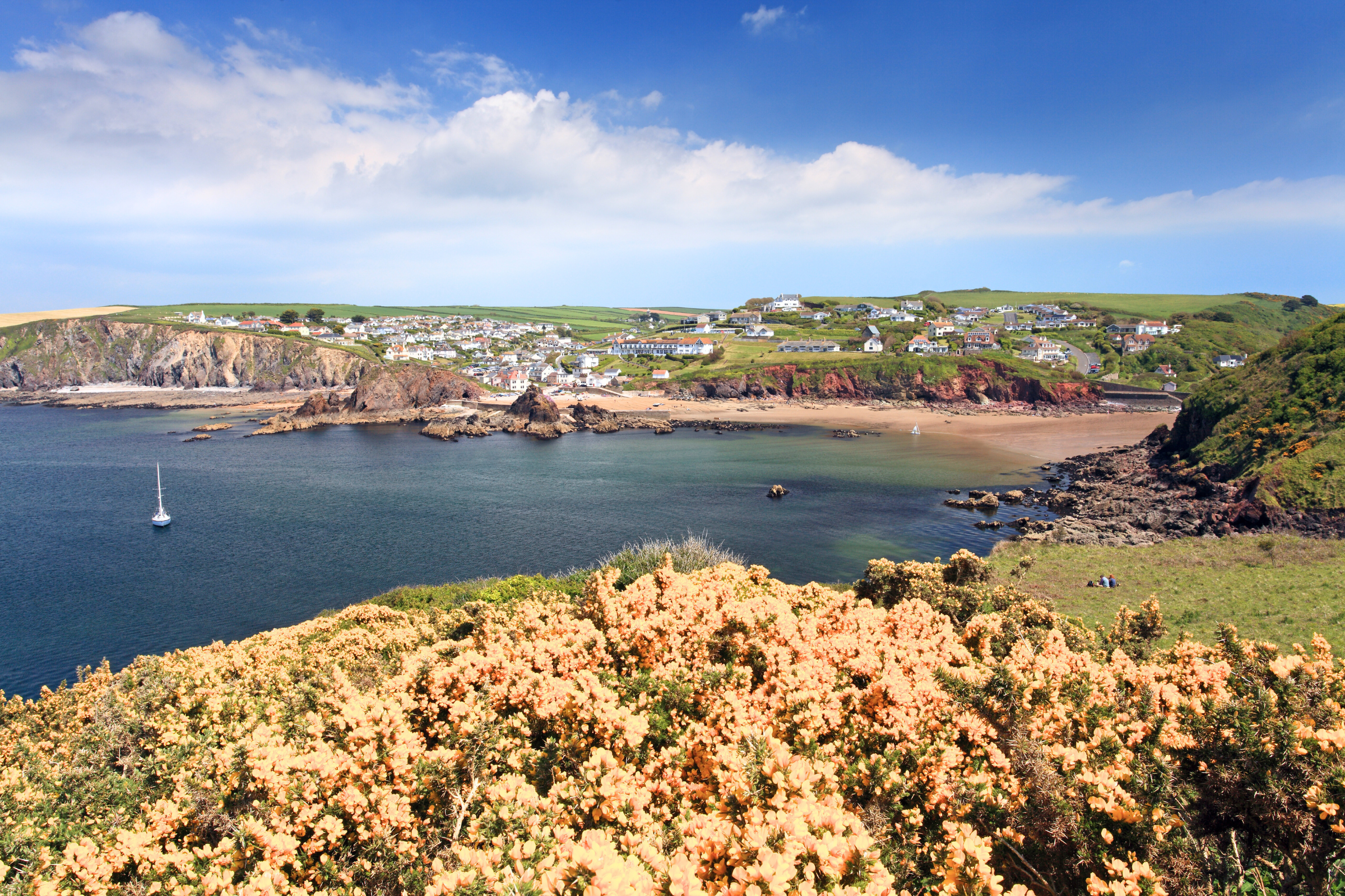46_Hope_Cove[1].webp